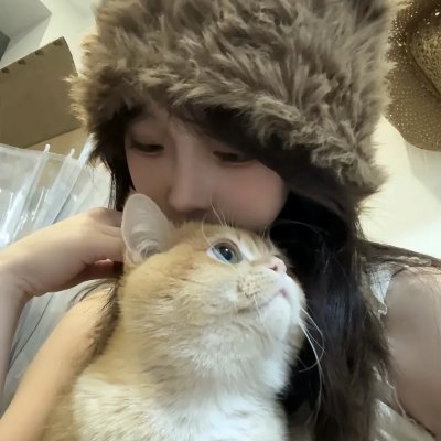 肥猫寻亲记